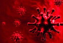 उत्तराखंड में मिले 69 नए कोरोना मरीज, 3230 पहुंचा आंकड़ा