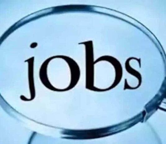 JOB NEWS: बैंक में इन पदों पर निकली हैं नौकरियां, 1 अगस्त तक करें ऑनलाइन आवेदन BANK JOB NEWS